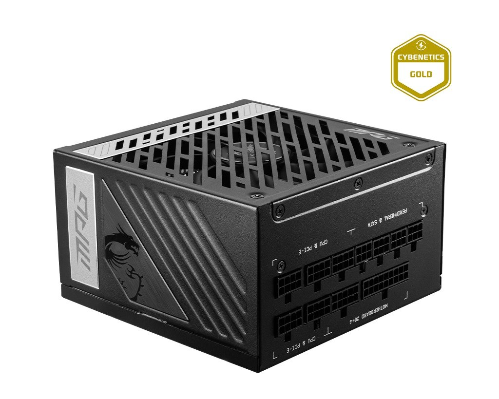 MSI 1000W 80+ Gold
