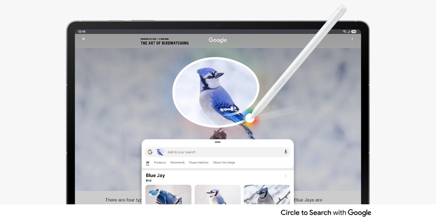 Samsung Galaxy Tab S10 FE